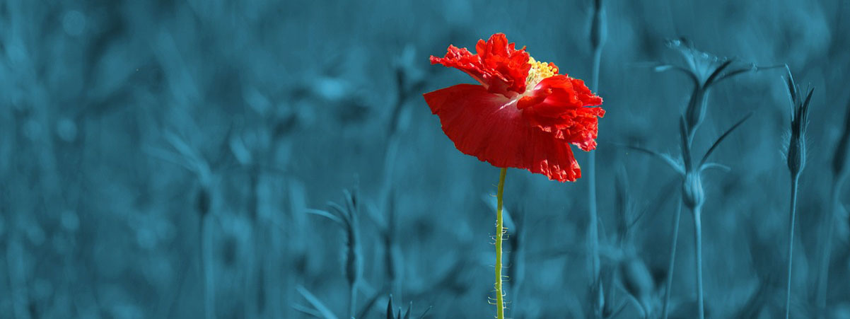 Ética? É respeitar as diferenças.