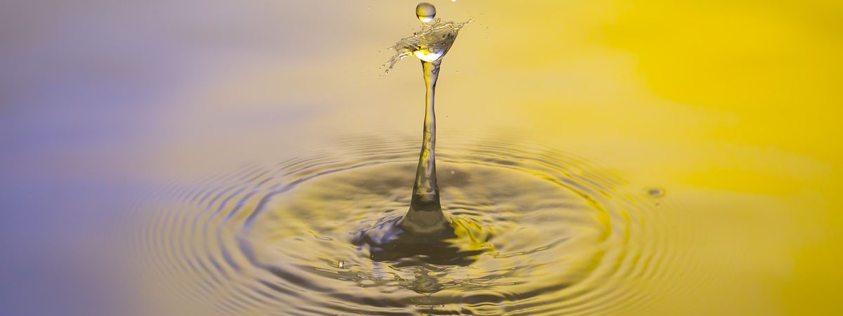 Ética? É ter consciência da sua responsabilidade.